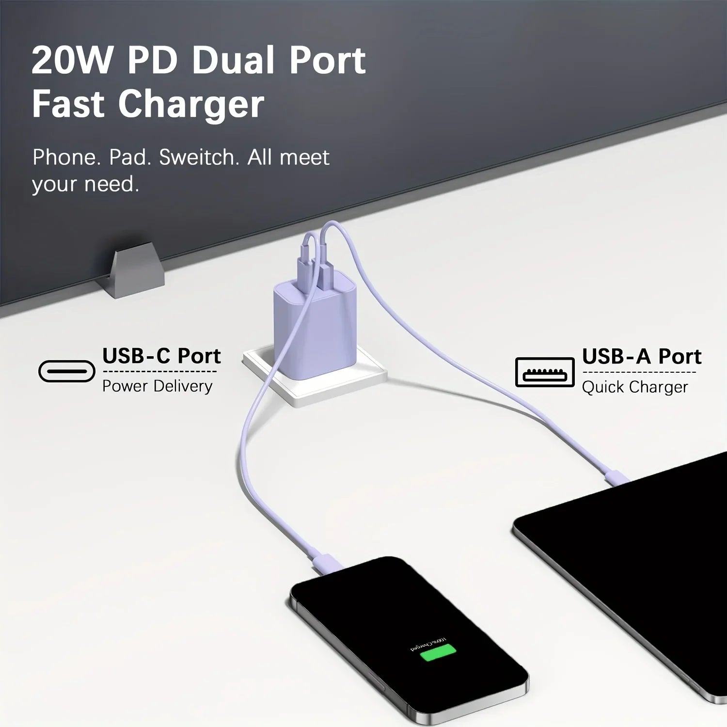 Dual Port Fast Charger